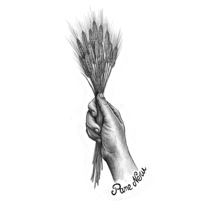 Pane Neru